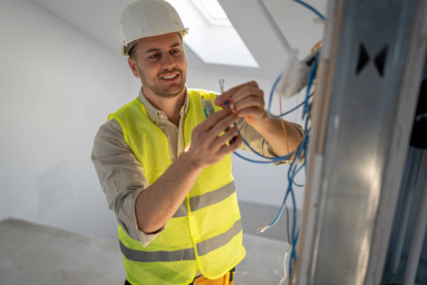 Best Electric Panel Repair  in Hannahs Mill, GA